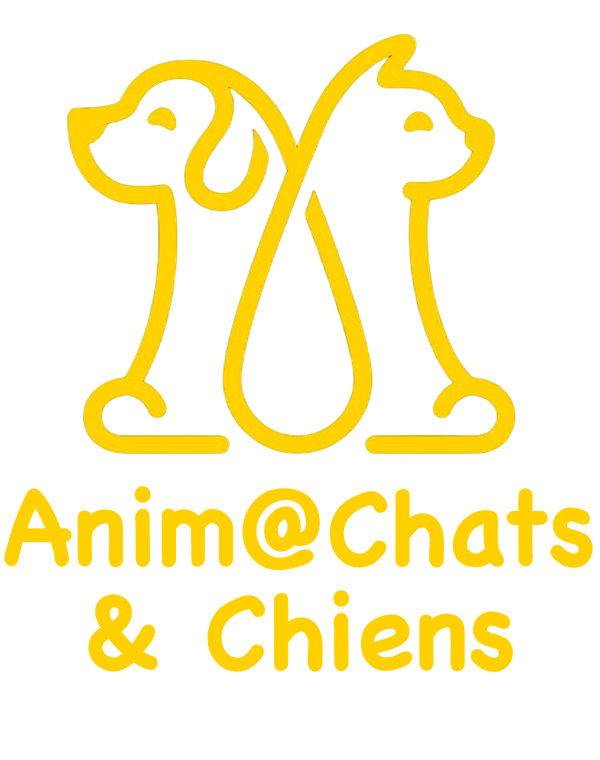 Anim@ Chats & Chiens